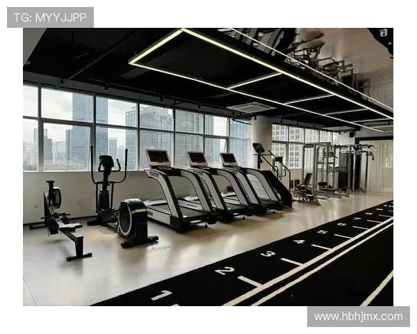 高端健身器材:提升运动体验的奢华选择 高端健身器材:提升运动体验的奢华选择