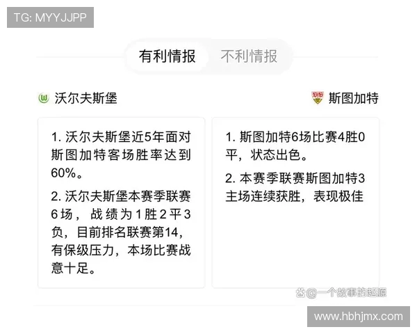 德甲下游球队排名及保级形势深度解读